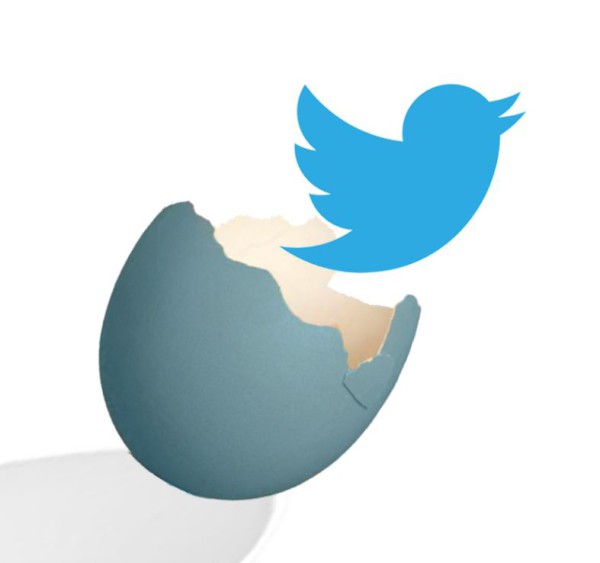 Twitter Logo Bird